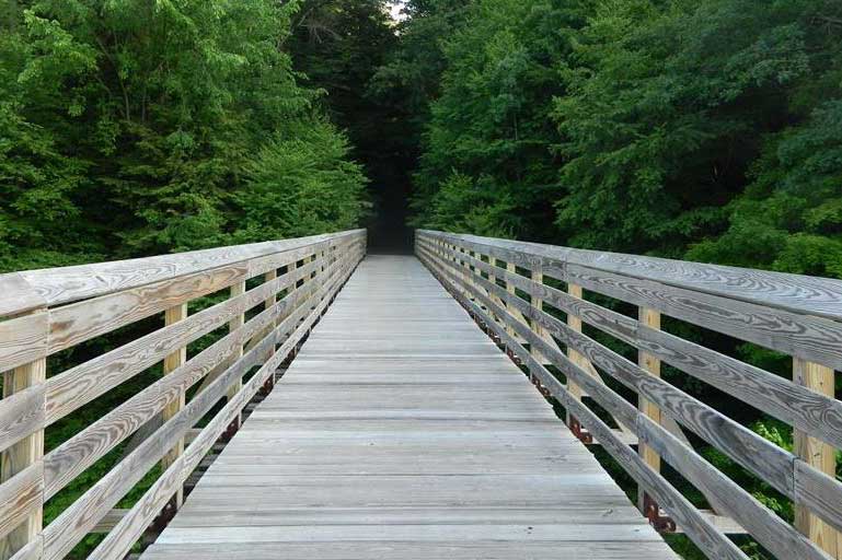 wooden bridge walk