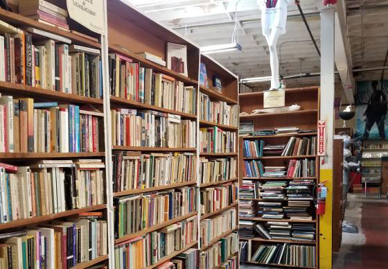 Shelves inside York Emporium book store