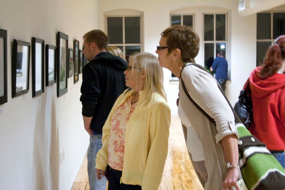 people looking at art collection