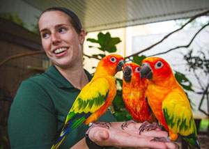 zoo keeper holding parrots
