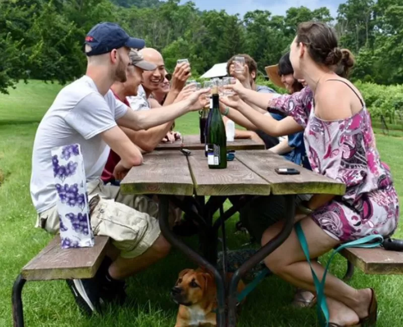 Group of people drinking wine