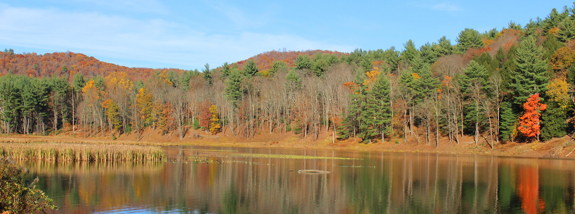 Leaf Peepers - Pennsylvania Wilds | #PAGetaway