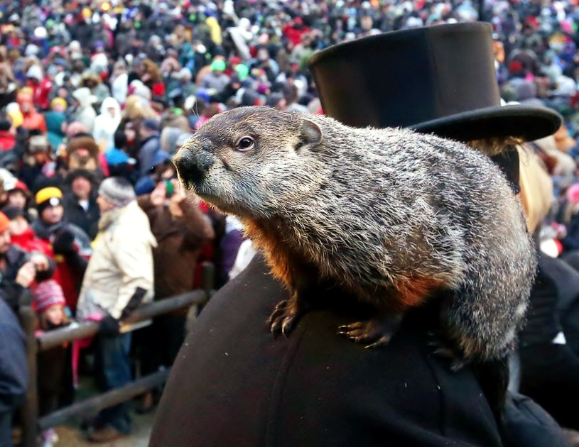 History of Groundhog Day visitPA