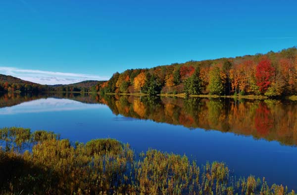 Chapman State Park | visitPA