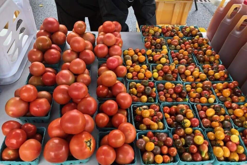 Downtown State College Farmers Market visitPA