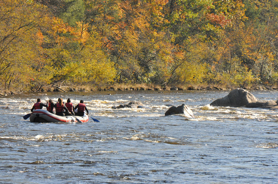 people rafting on river