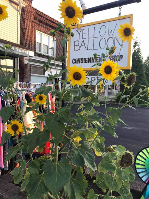 sunflowers infront of store signage board