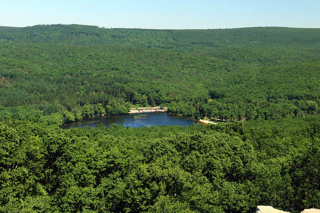 Aerial view of a forested area with a lake and clearing surrounded by hills