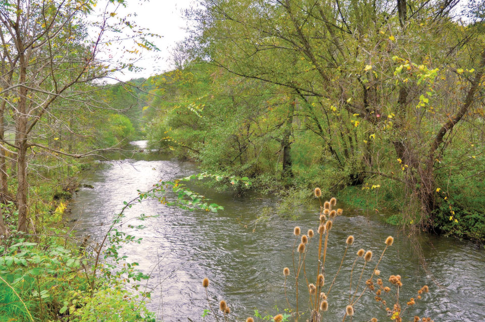 spring creek