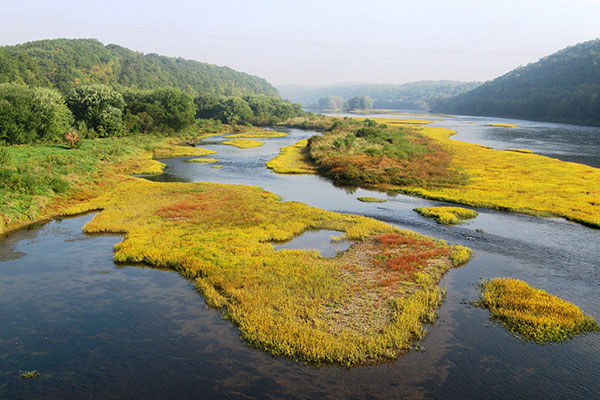 Allegheny River
