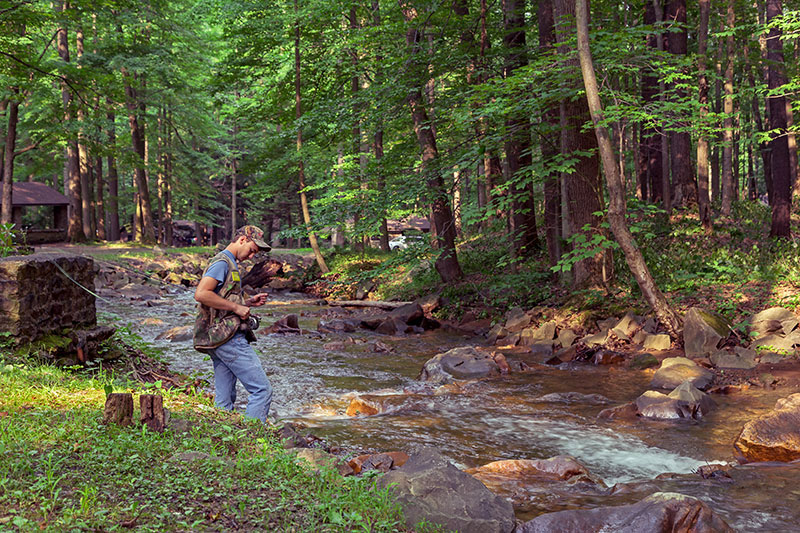 A person fishing by creek surrounded by trees