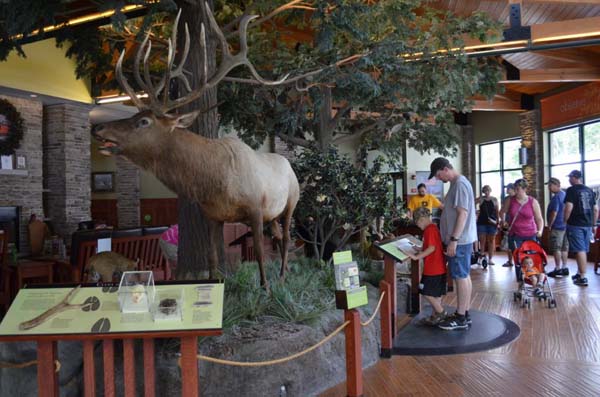 visitors inside elk county visitor center