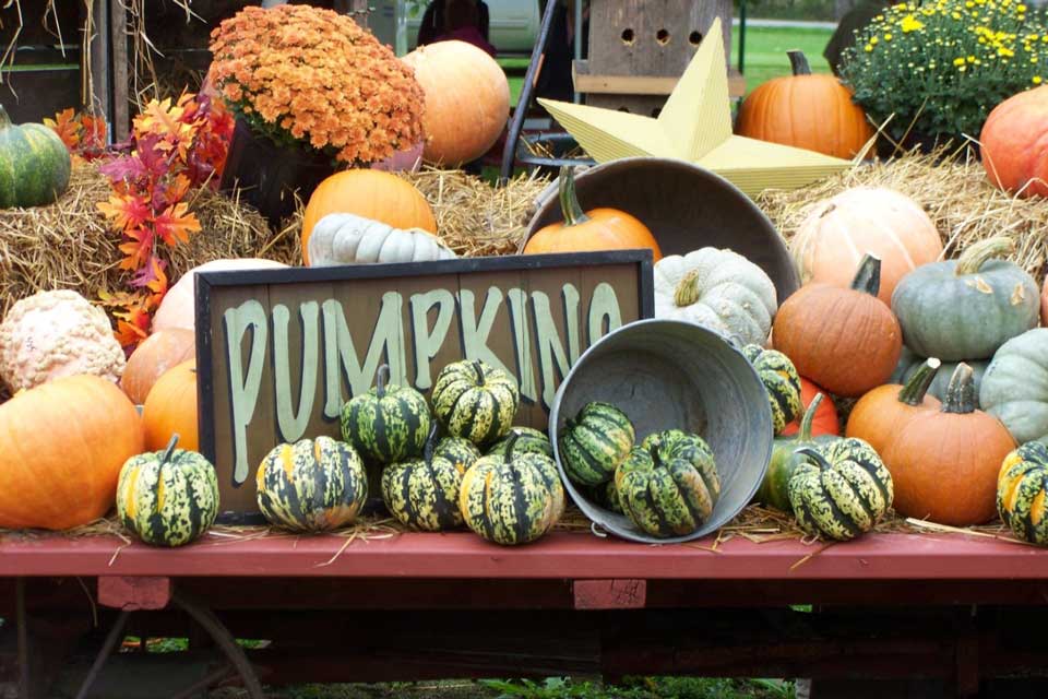 Fall Events and Festivals in Pennsylvania visitPA