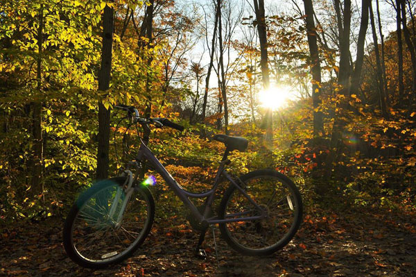 Bike in the woods foliage Great Allegheny Passage