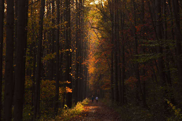 Hiking Great Allegheny Passage during autumn