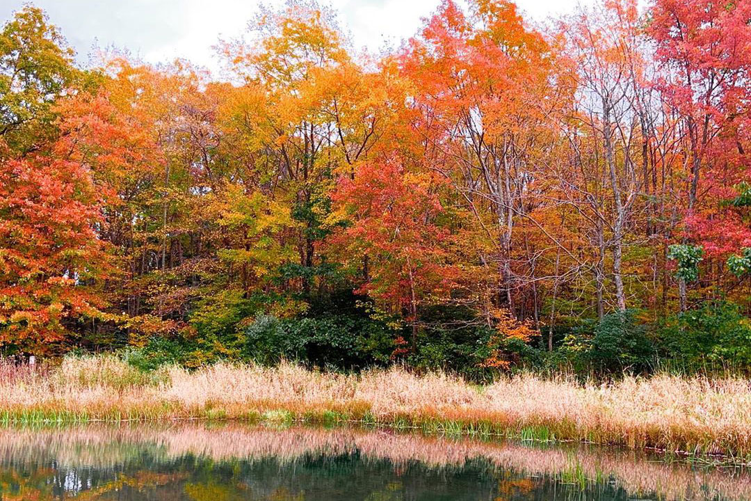 10 Lesser-Known State Parks Worth an Outdoor Adventure | visitPA