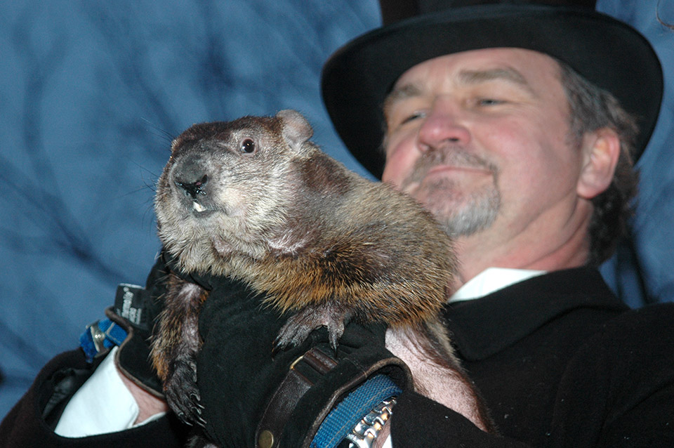 The Inner Circle of Punxsutawney Phil | visitPA