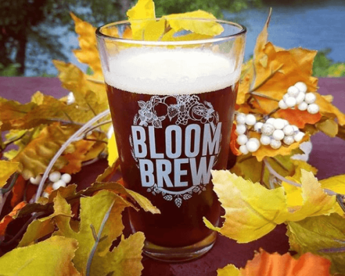 Bloom and Brew