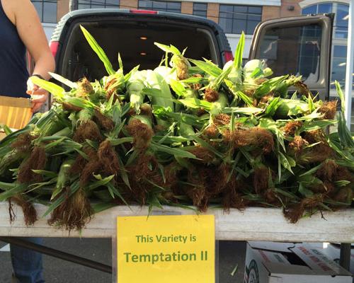 Temptations farmers clearance