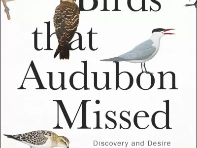 DVOC Presents Center of the Bird World: Audubon and his Rivals in Philadelphia