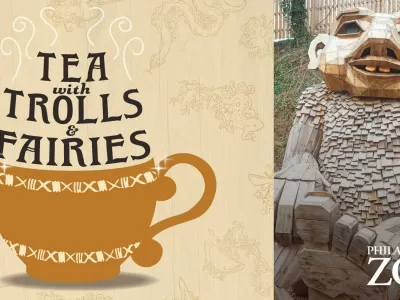 Tea With Trolls and Fairies